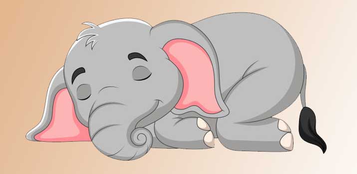 How do Elephants sleep? (when, where & how long?)