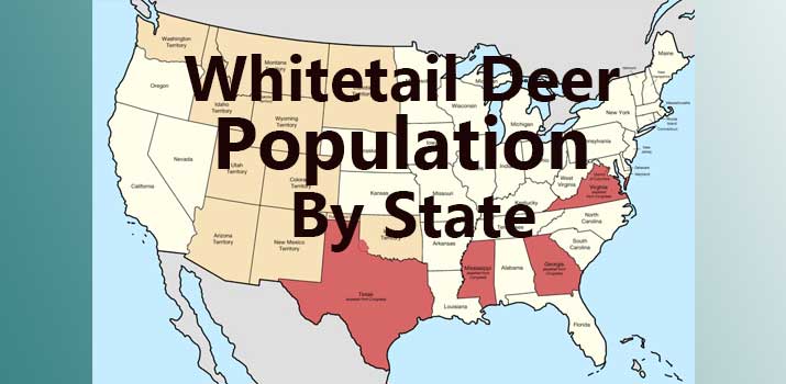 Whitetail Deer Population By State 